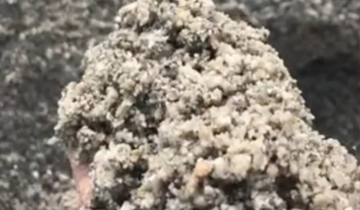 機(jī)制水洗砂